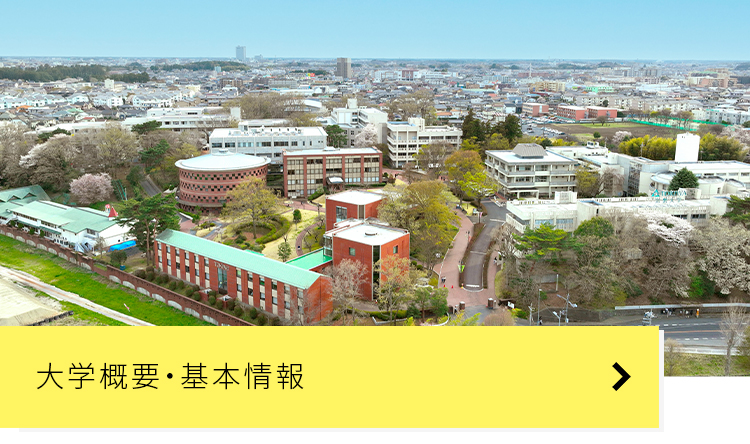 大学概要・基本情報